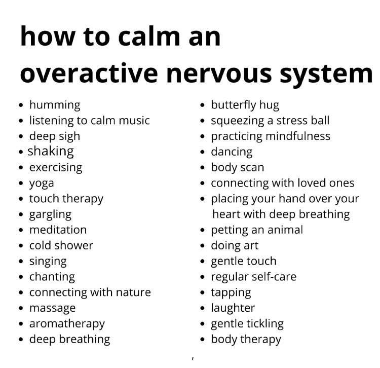 calm nervous system